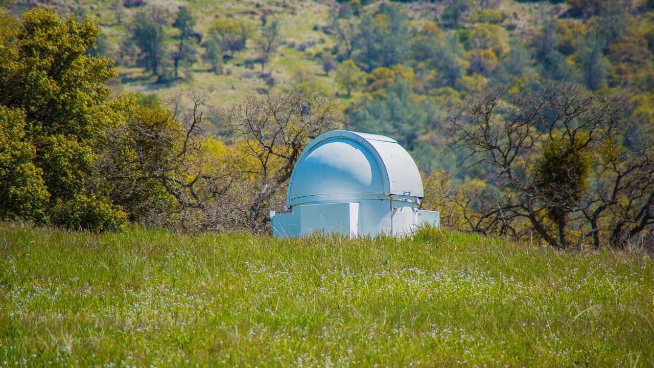 Photo of Others in Mariposa