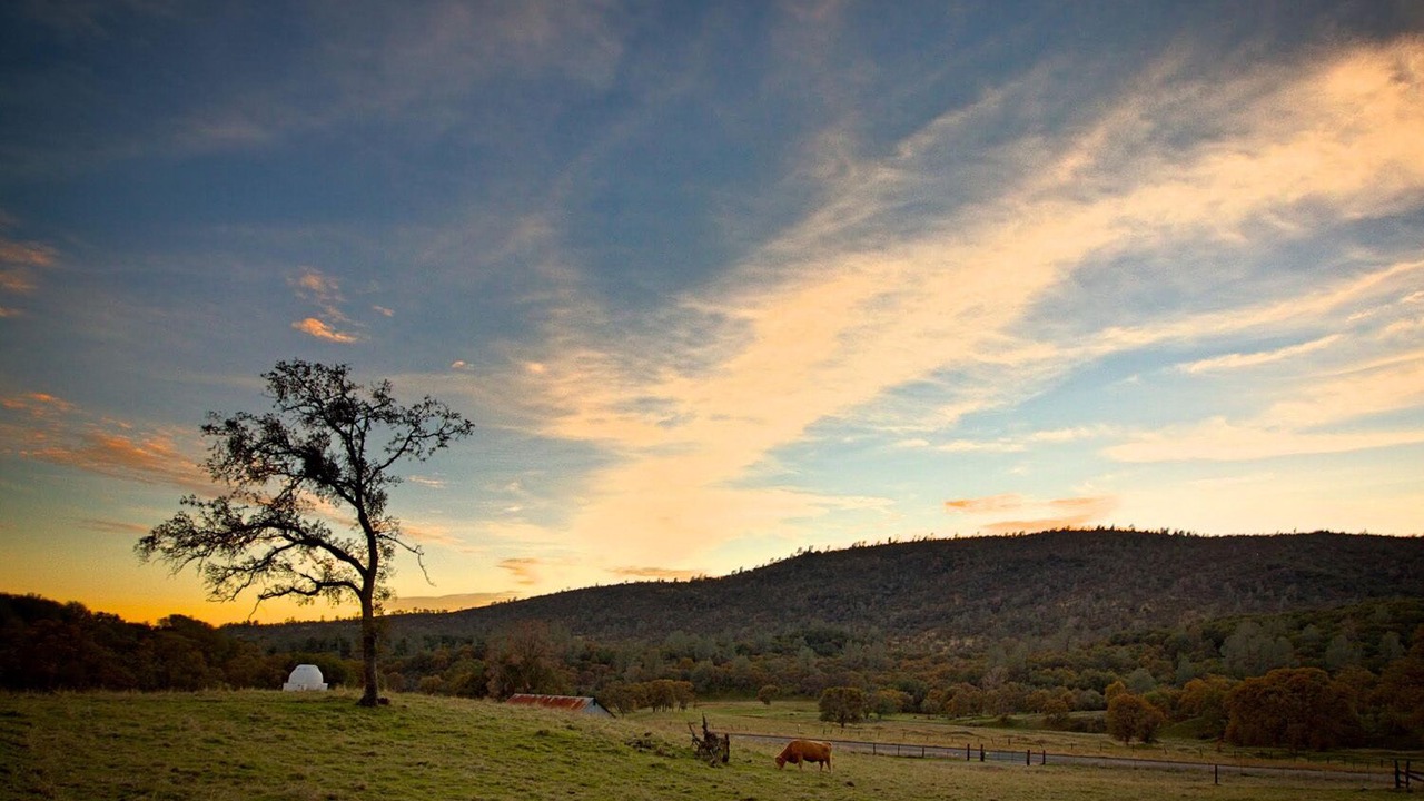 Photo of Outdoor in Mariposa