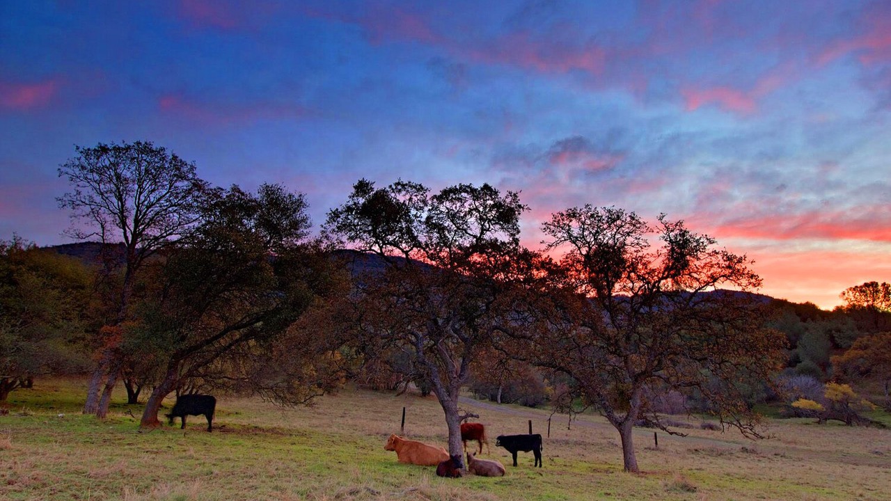 Photo of Others in Mariposa