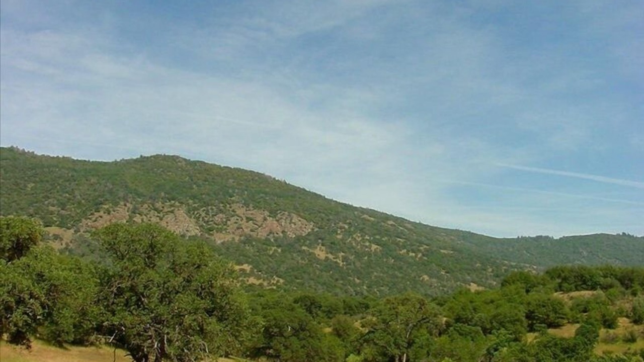 Photo of Others in Mariposa
