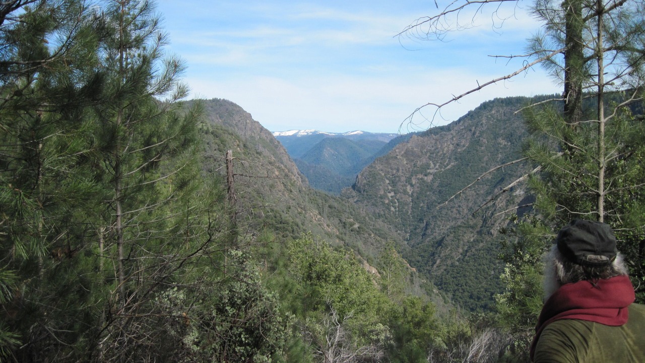Photo of Others in Gold Run