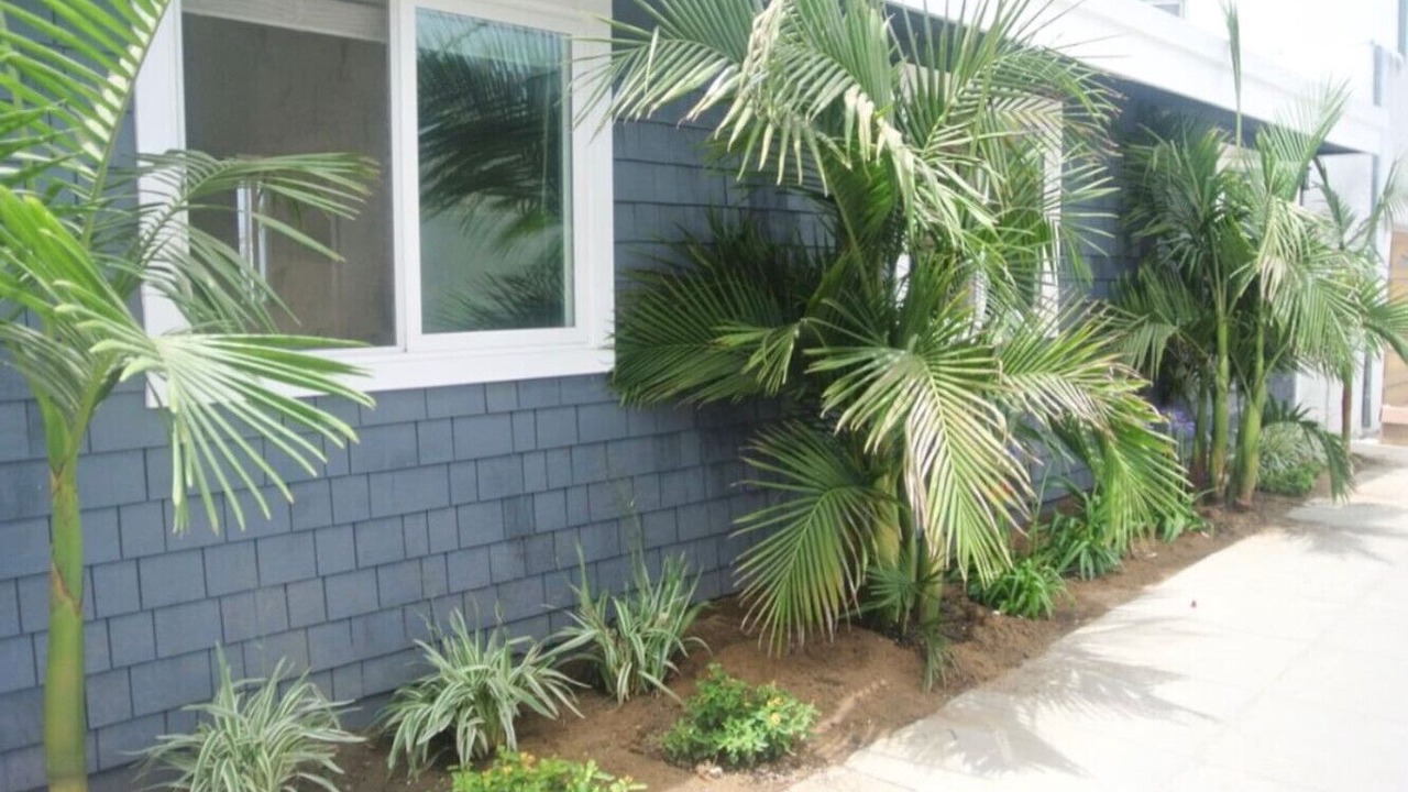 Photo of Outdoor in South Oceanside
