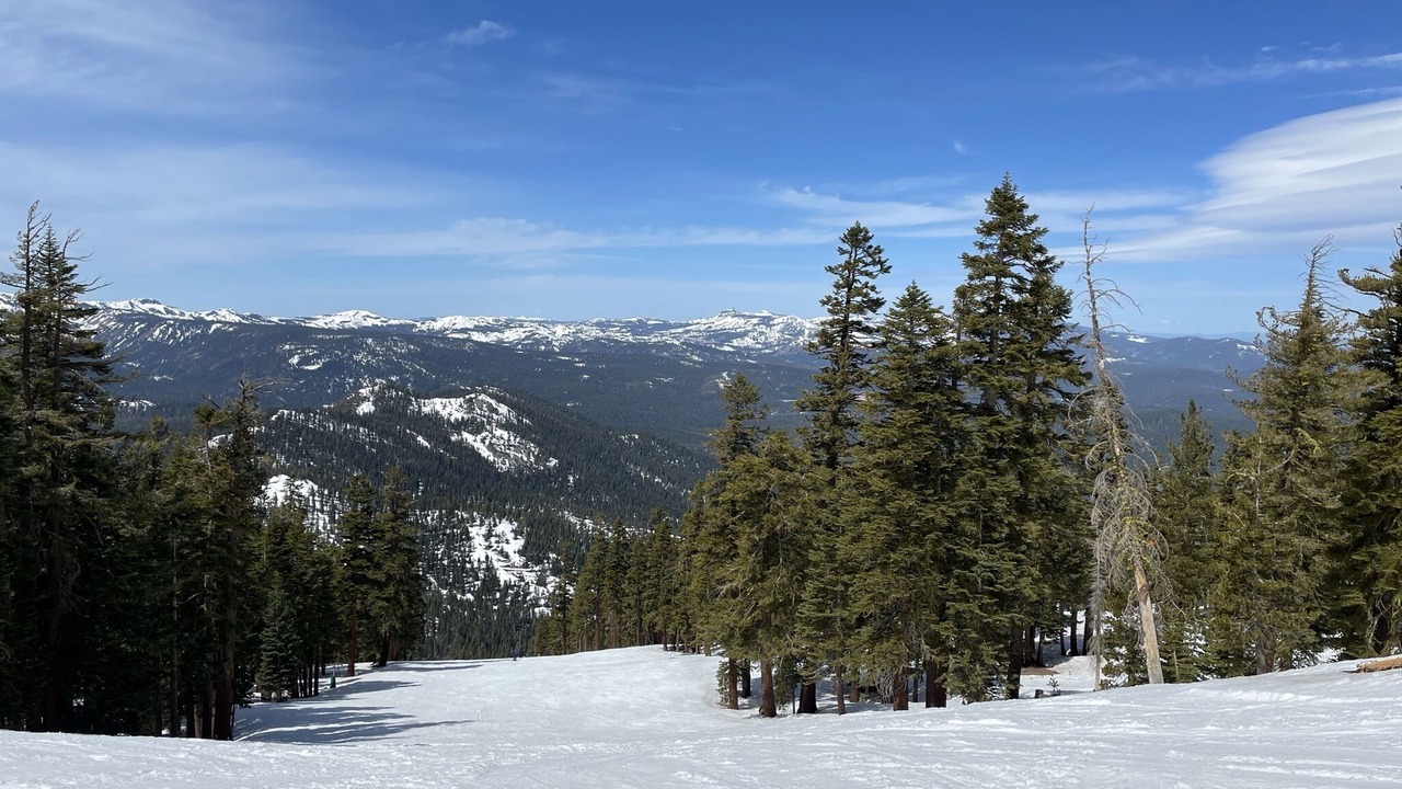 Photo of Others in Truckee