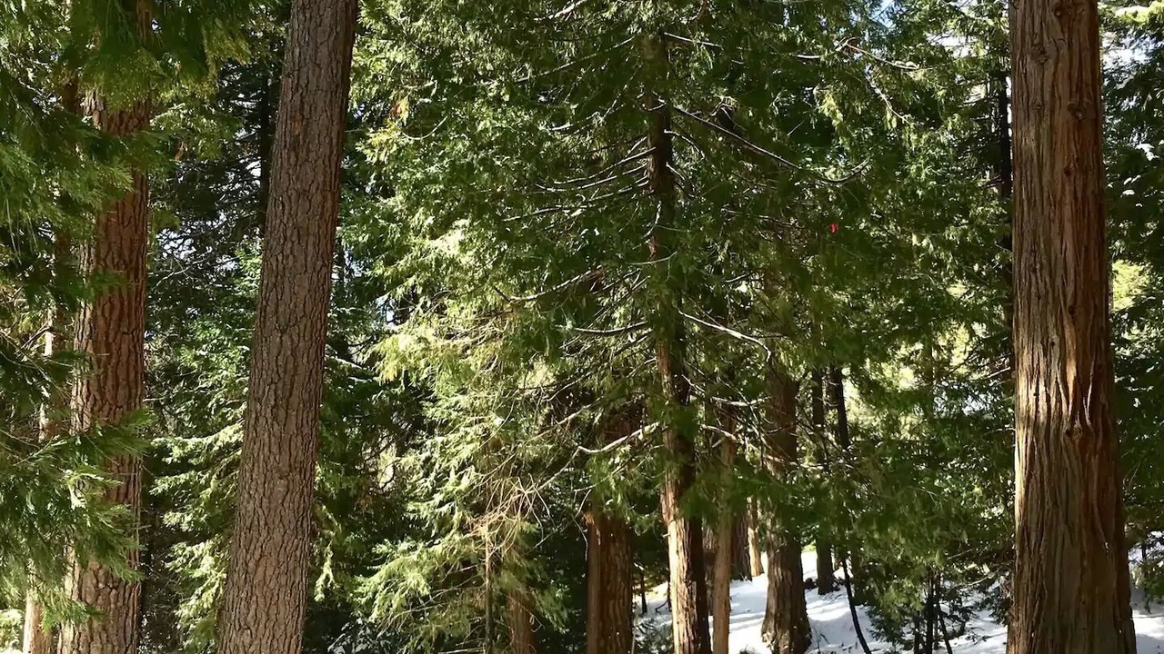 Photo of Outdoor in Mi-Wuk Village