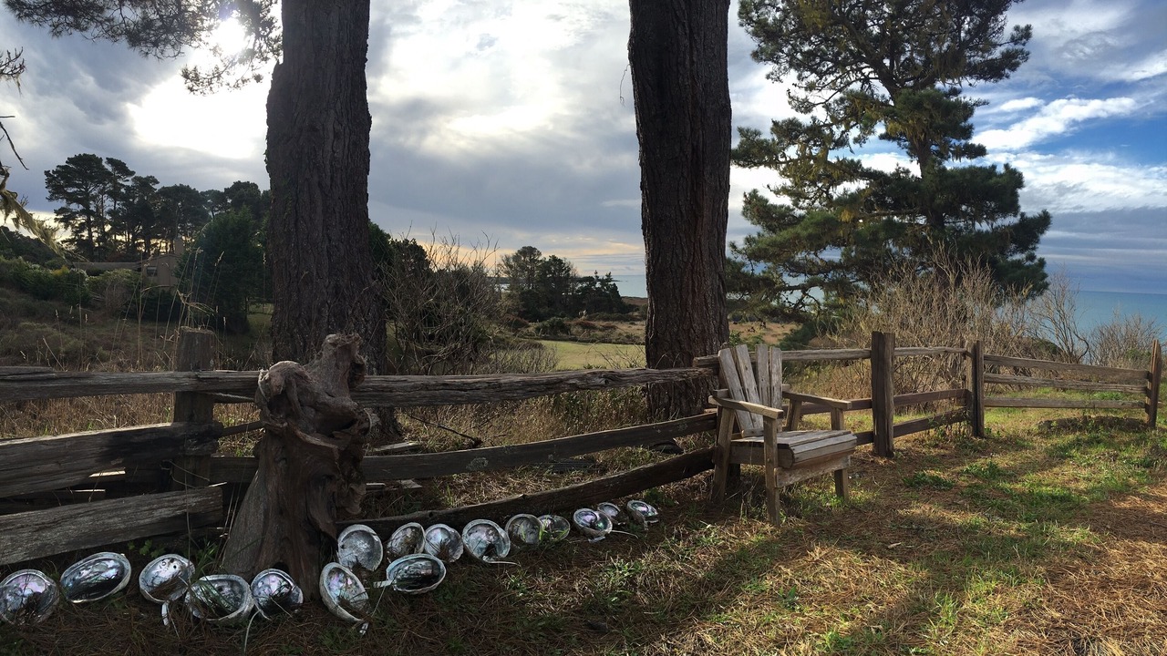 Photo of Outdoor in Mendocino