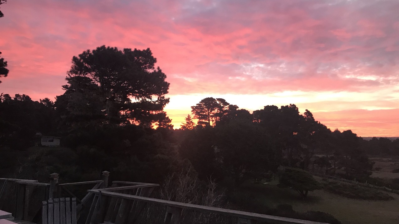 Photo of Outdoor in Mendocino