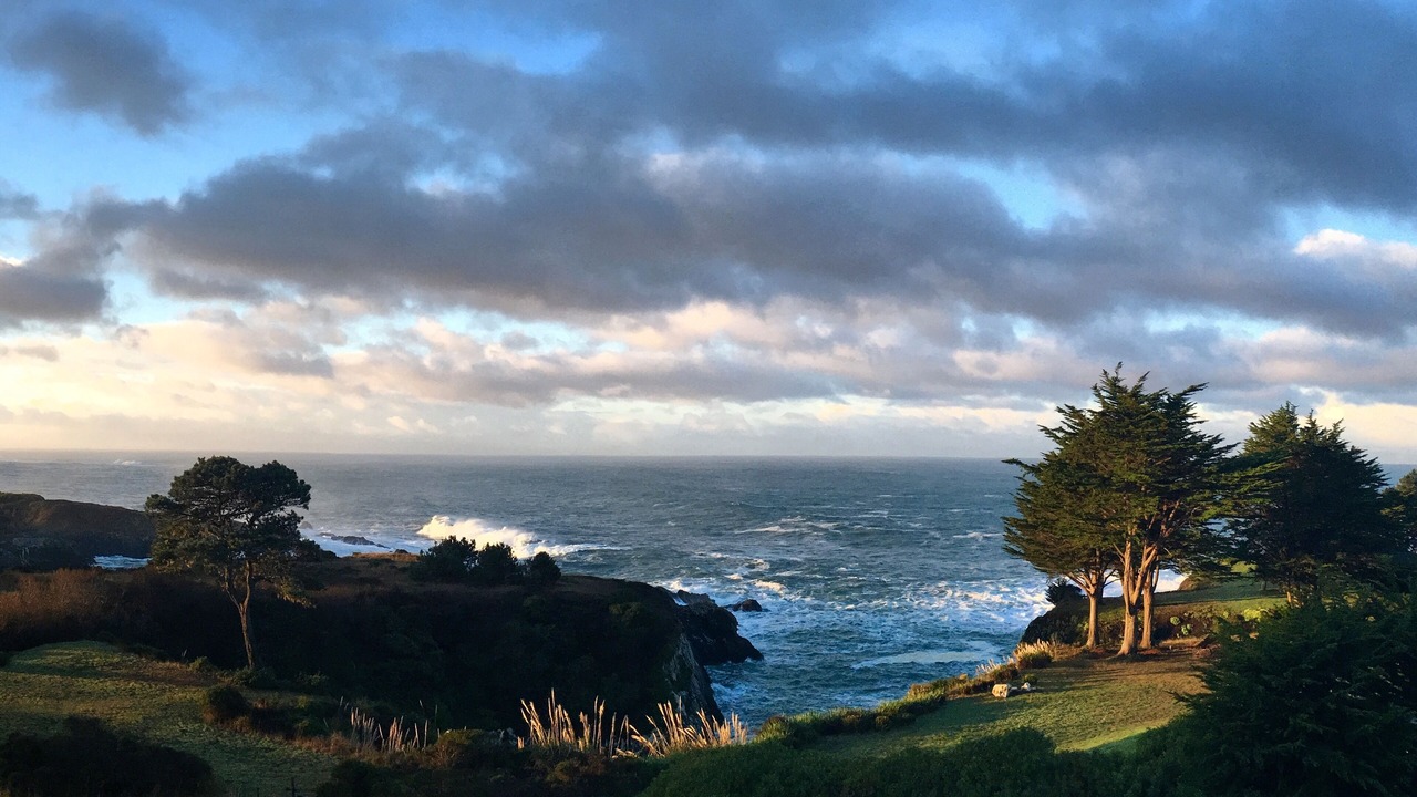 Photo of Others in Mendocino