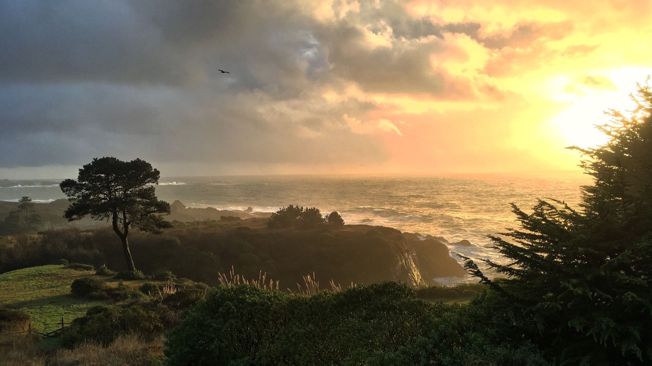 Photo of Others in Mendocino