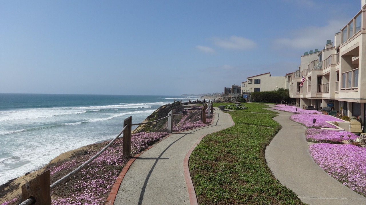 Photo of Others in Solana Beach