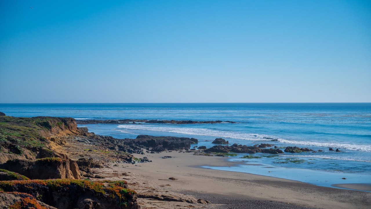 Photo of Others in San Simeon