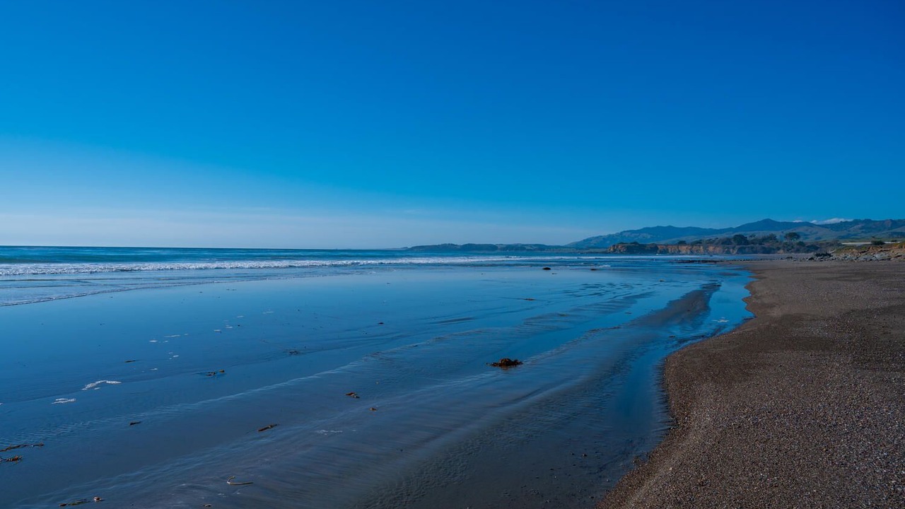 Photo of Others in San Simeon