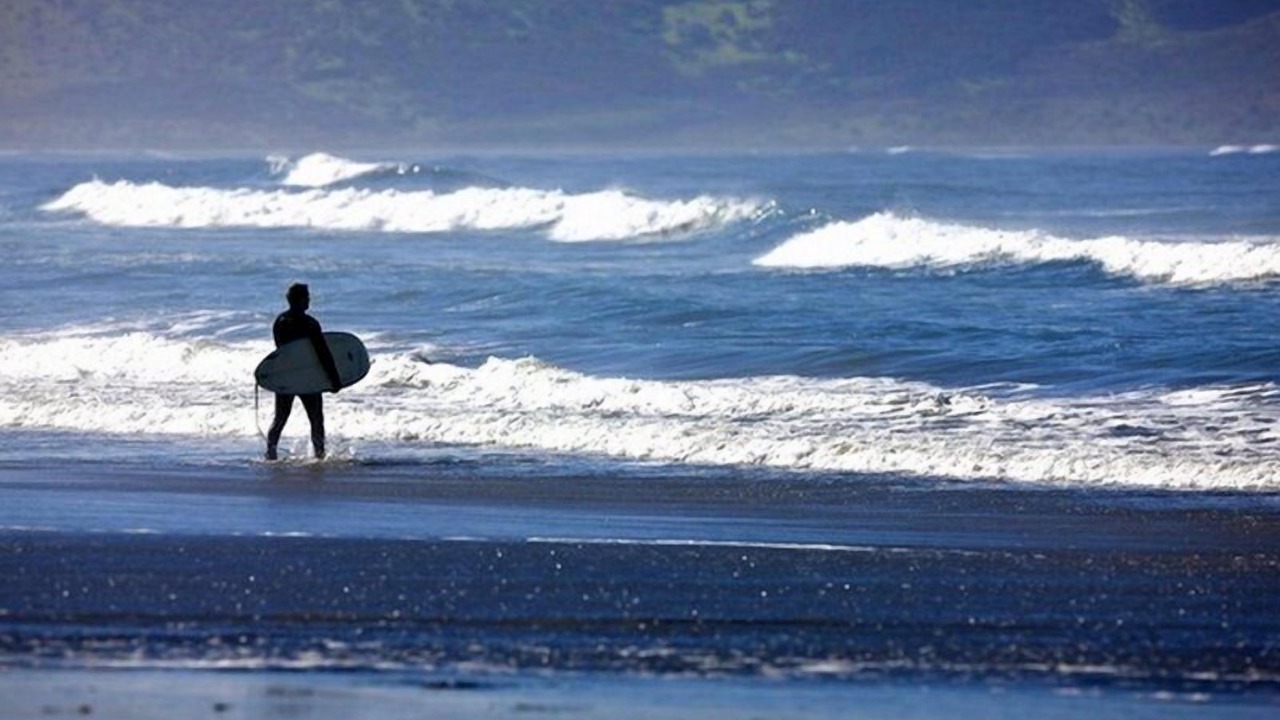 Photo of Others in Dillon Beach