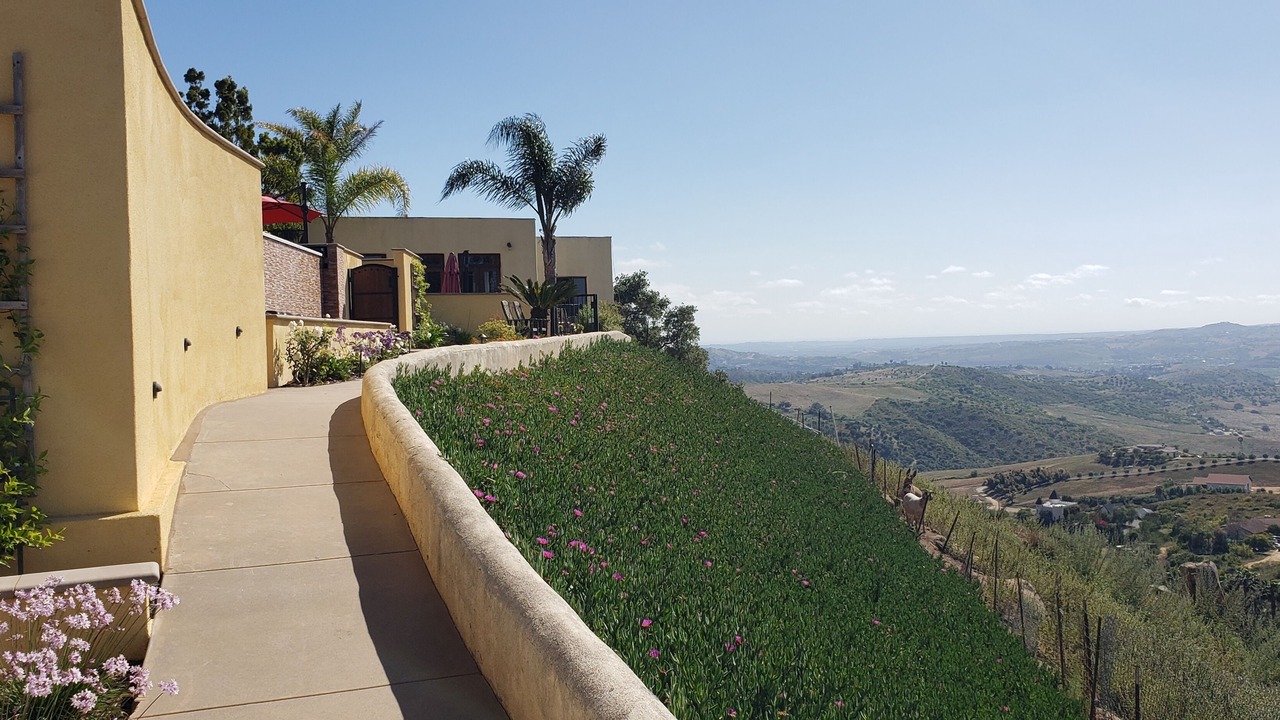 Photo of Others in Bonsall