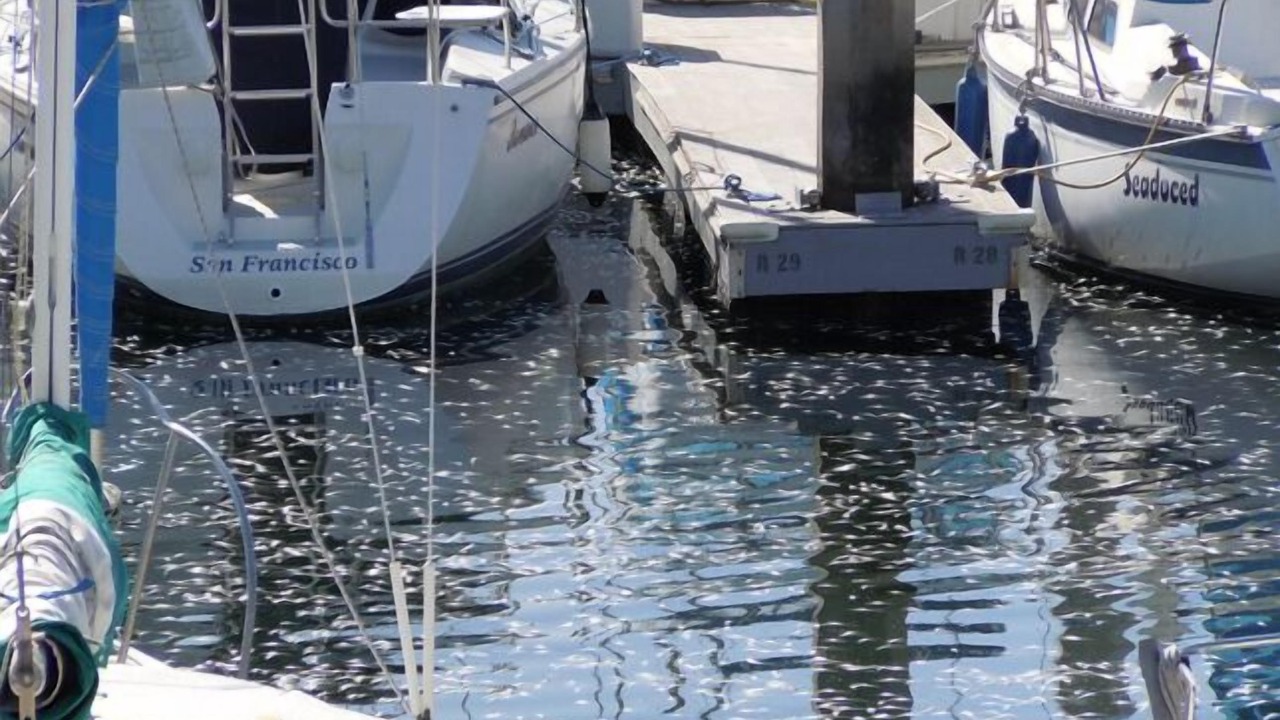 Photo of Others in South Redondo