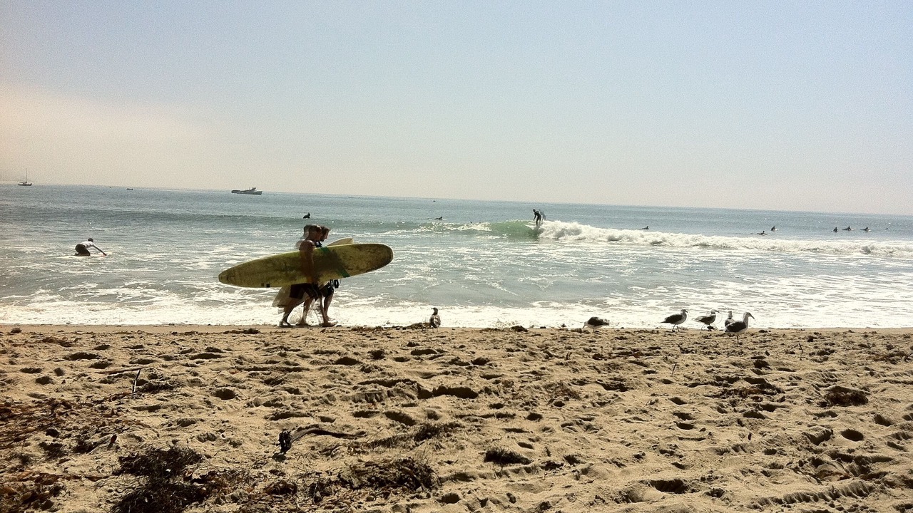 Photo of Others in South Redondo