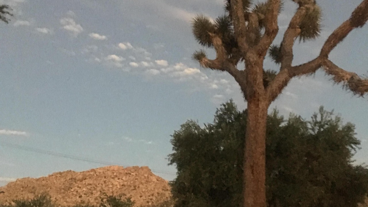 Photo of Others in Monument Manor