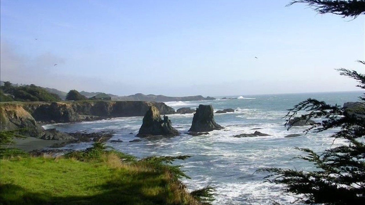 Photo of Others in Sea Ranch