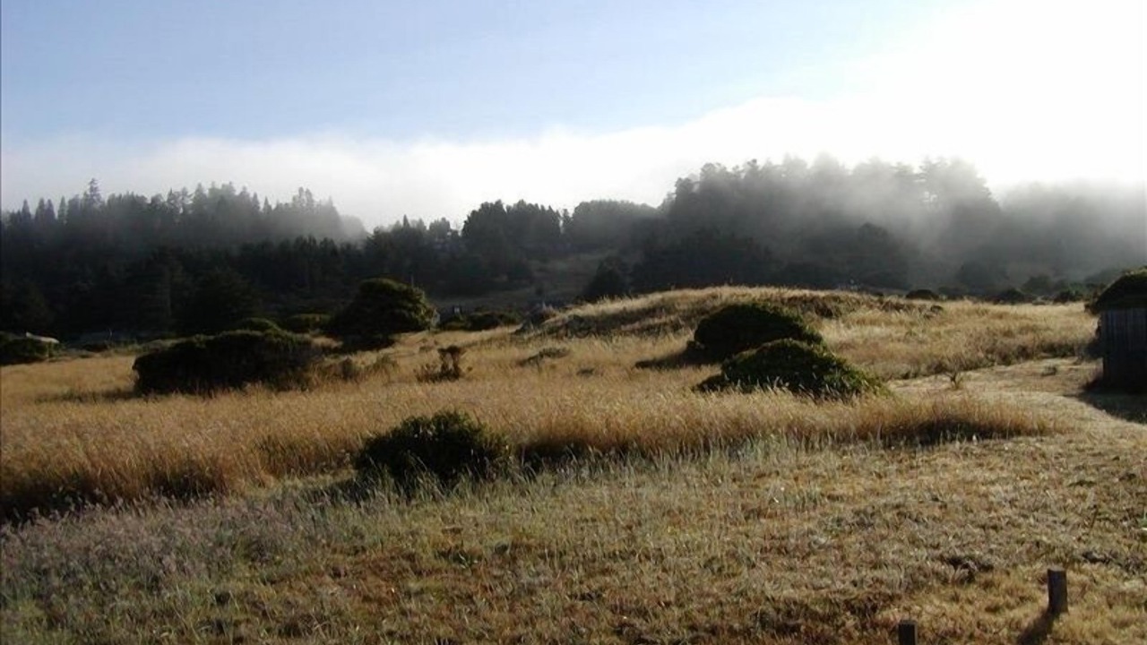 Photo of Bedroom in Sea Ranch