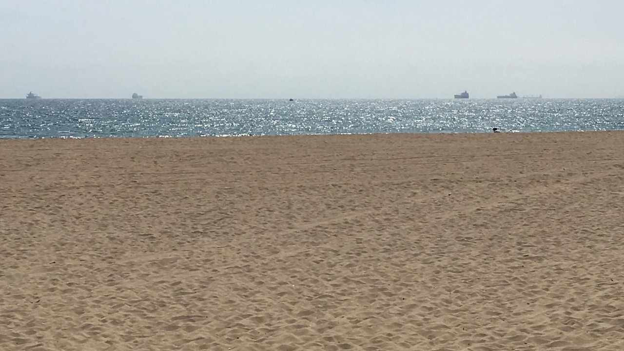 Photo of Others in Huntington Beach