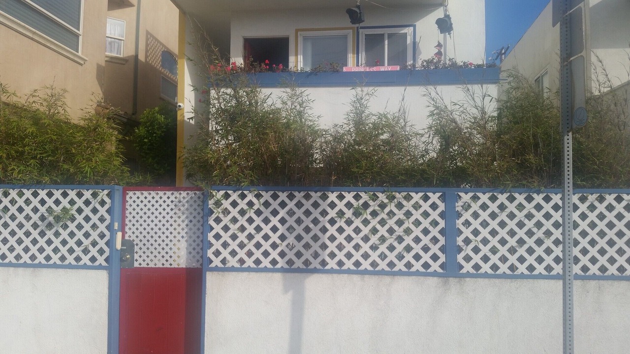 Photo of Outdoor in The Jungle