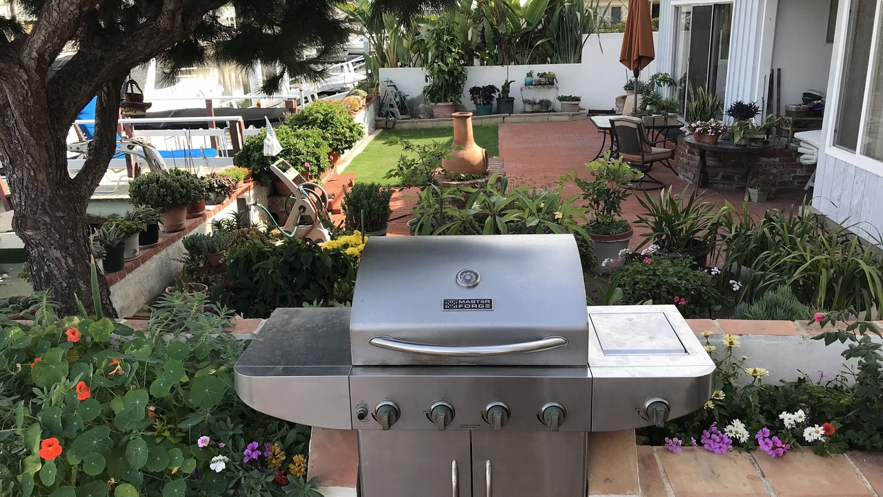 Photo of Outdoor in West Newport