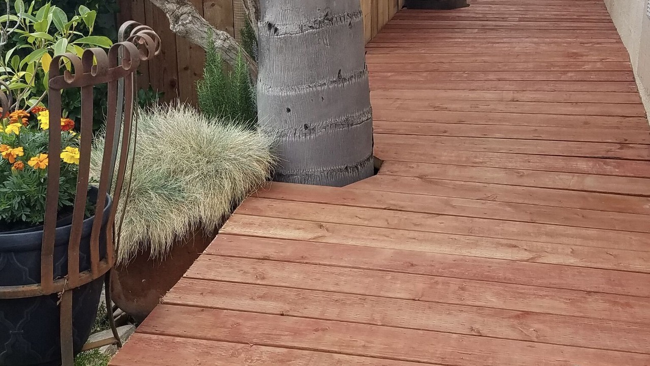 Photo of Outdoor in Vista