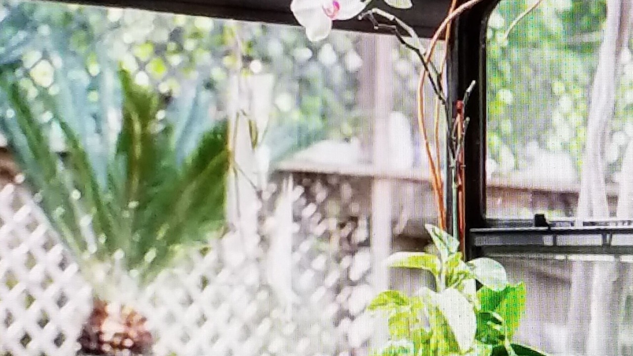 Photo of Outdoor in Vista