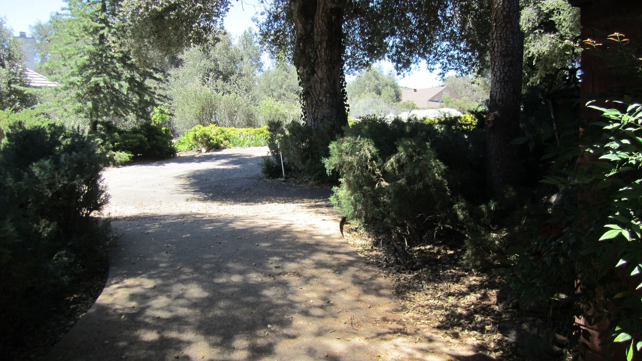 Photo of Outdoor in Pine Valley