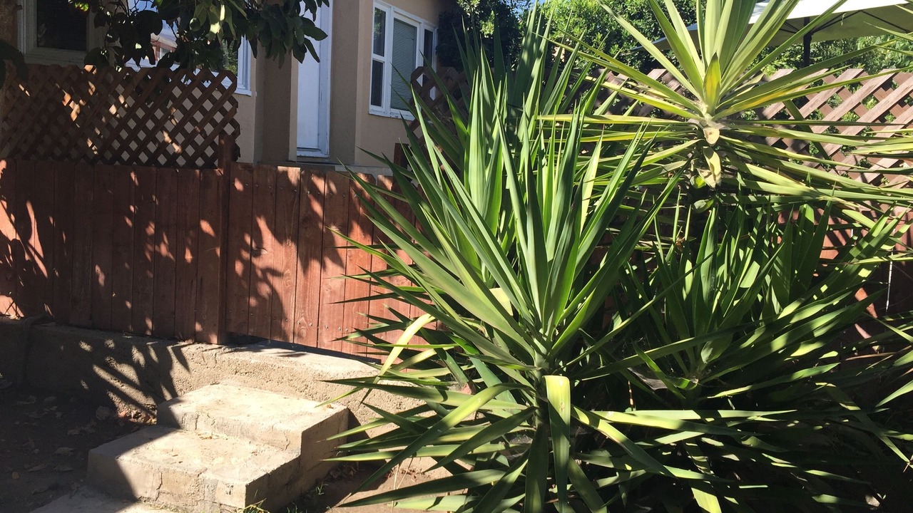 Photo of Outdoor in Burbank