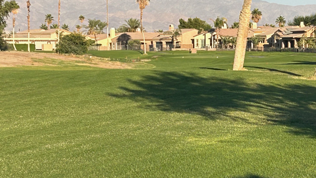Photo of Others in Palm Desert