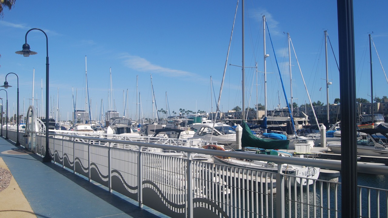 Photo of Others in Marina del Rey