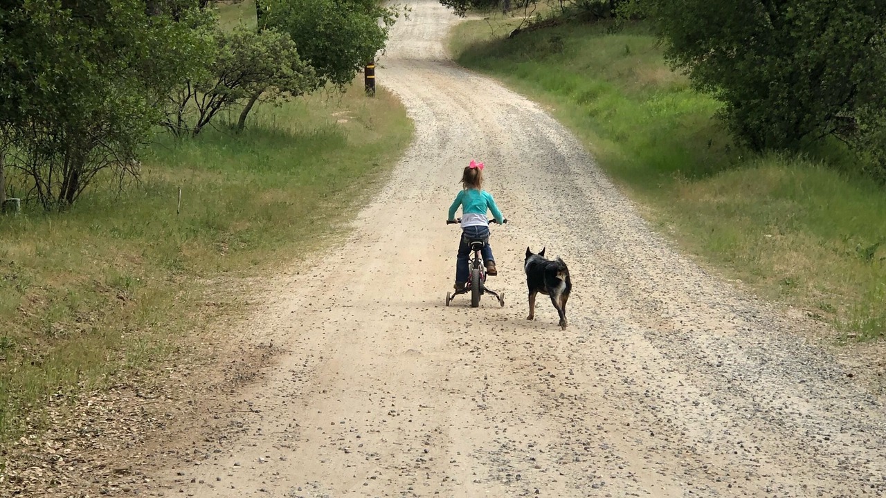 Photo of Others in North Fork