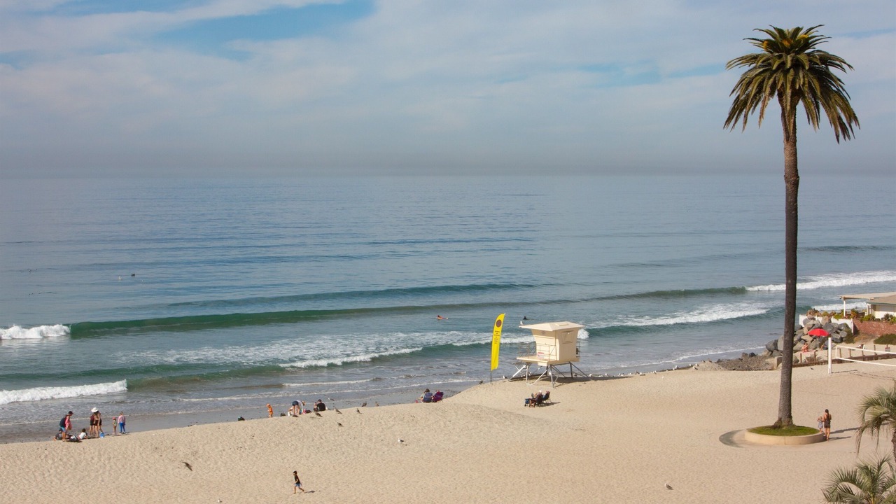 Photo of Others in Encinitas