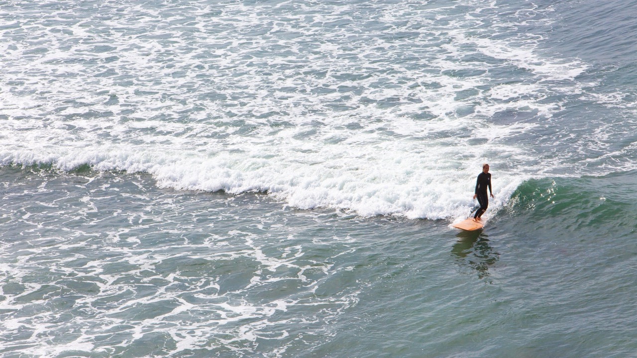 Photo of Others in Encinitas