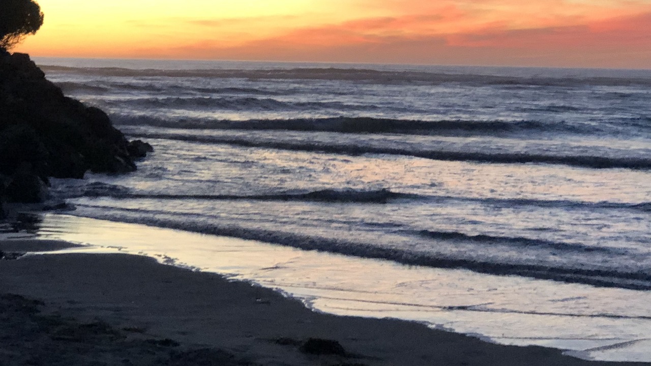 Photo of Others in South Mission Beach