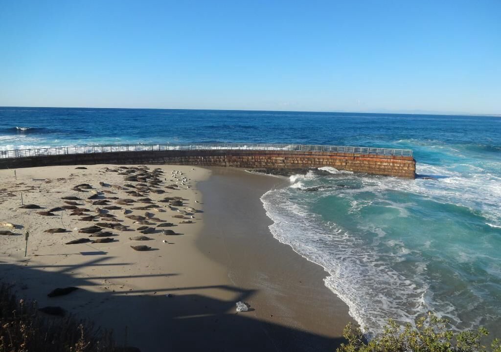 Photo of Others in La Jolla Shores
