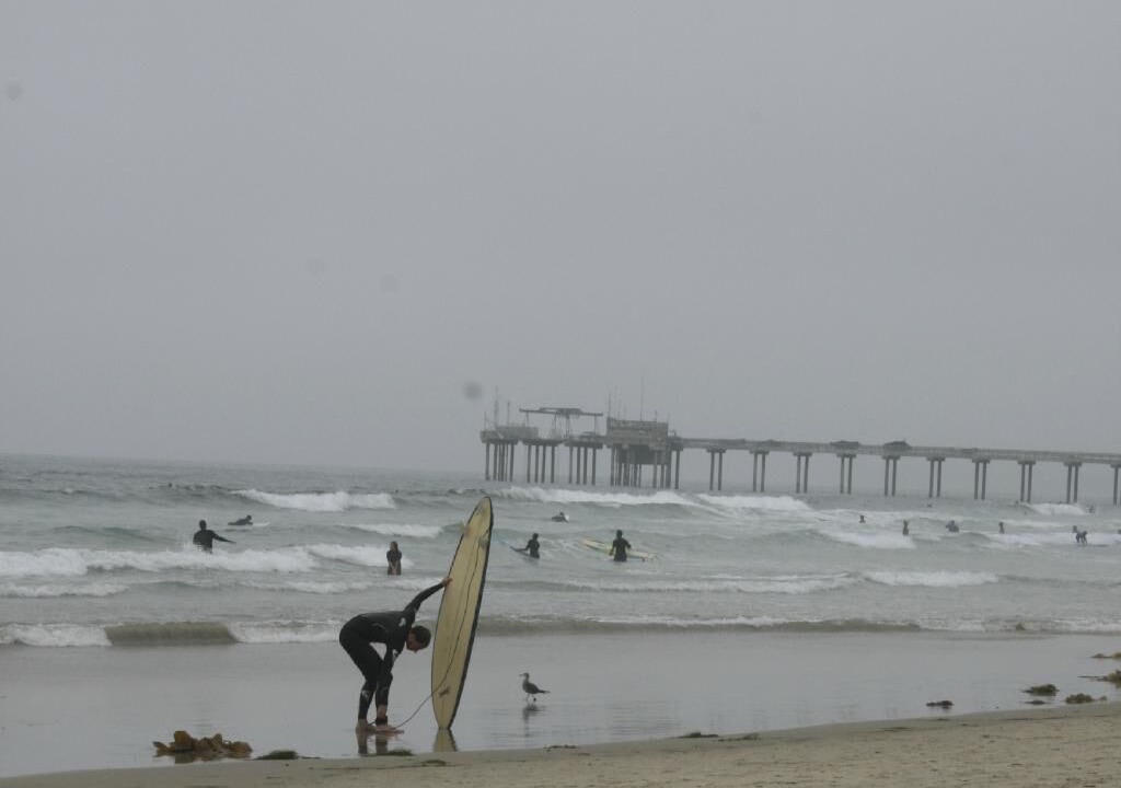 Photo of Others in La Jolla Shores