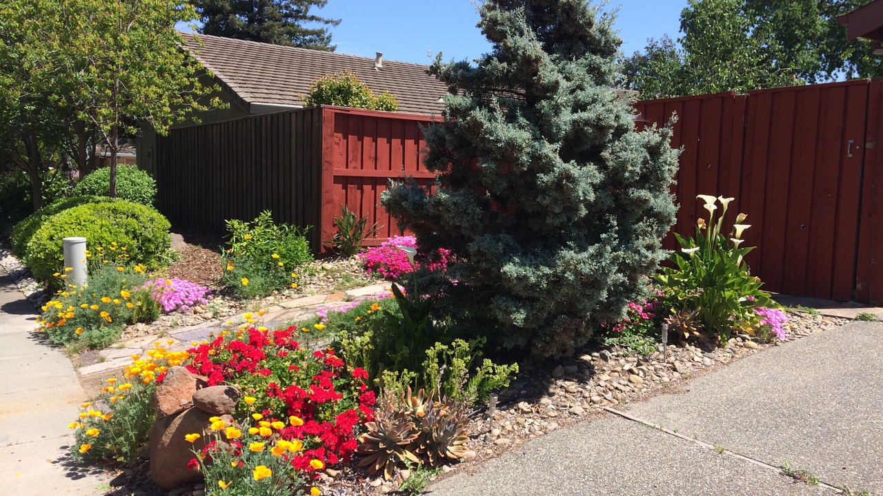 Photo of Others in Davis