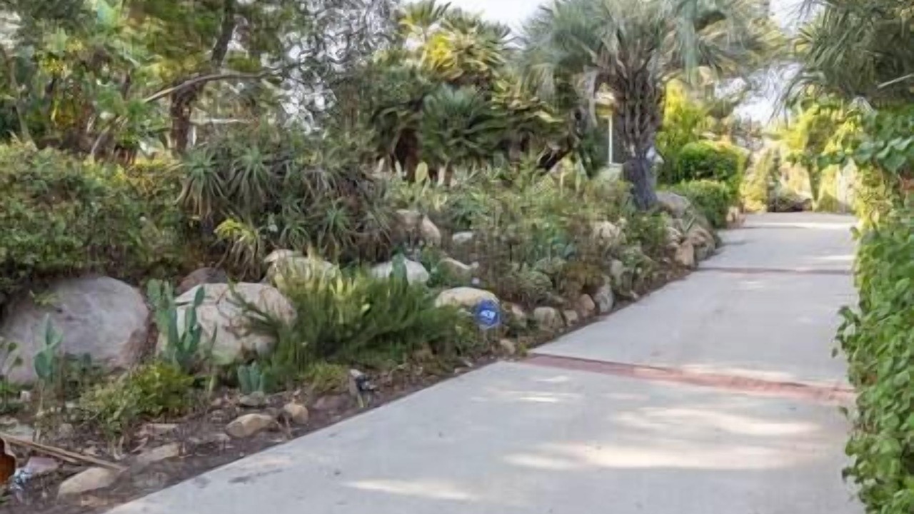 Photo of Others in Mission Canyon