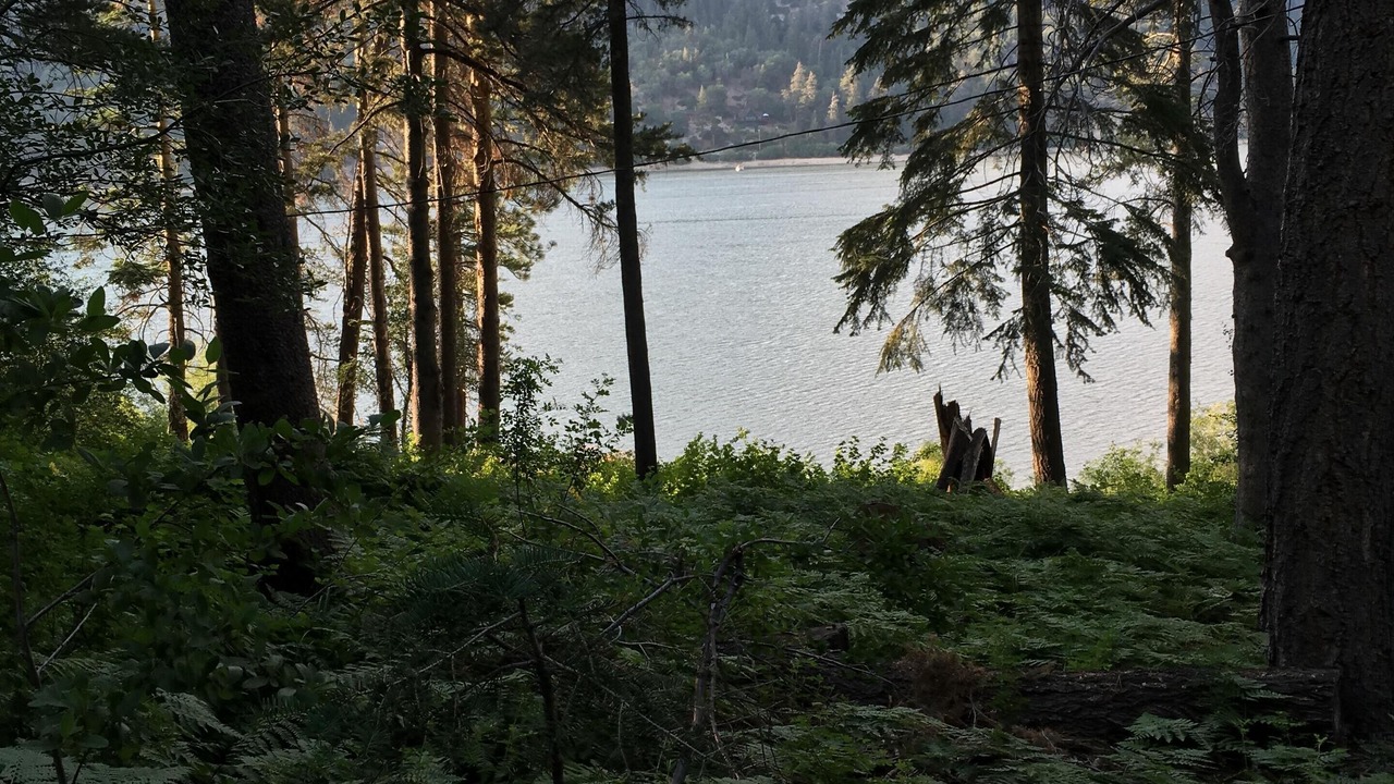 Photo of Outdoor in Big Bear City