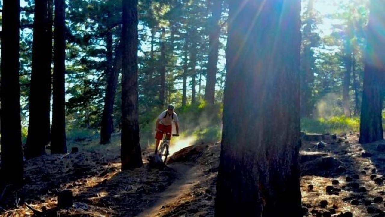 Photo of Others in Big Bear City