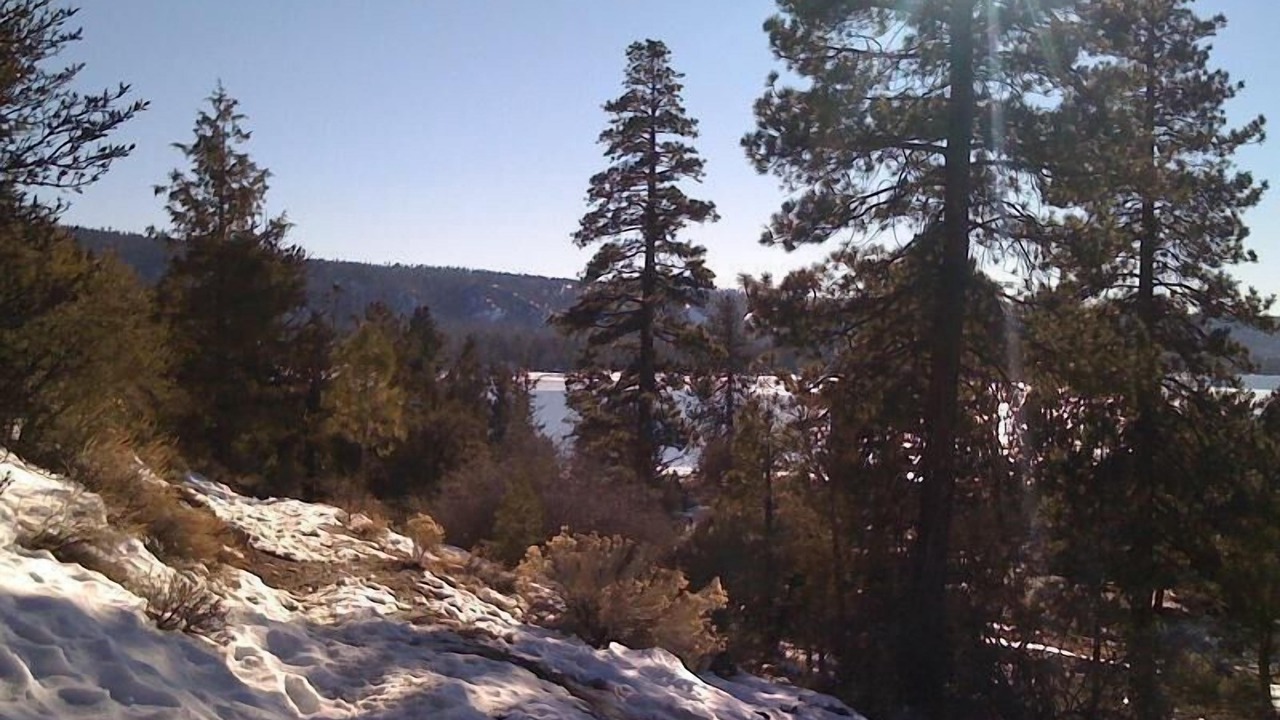 Photo of Others in Big Bear City