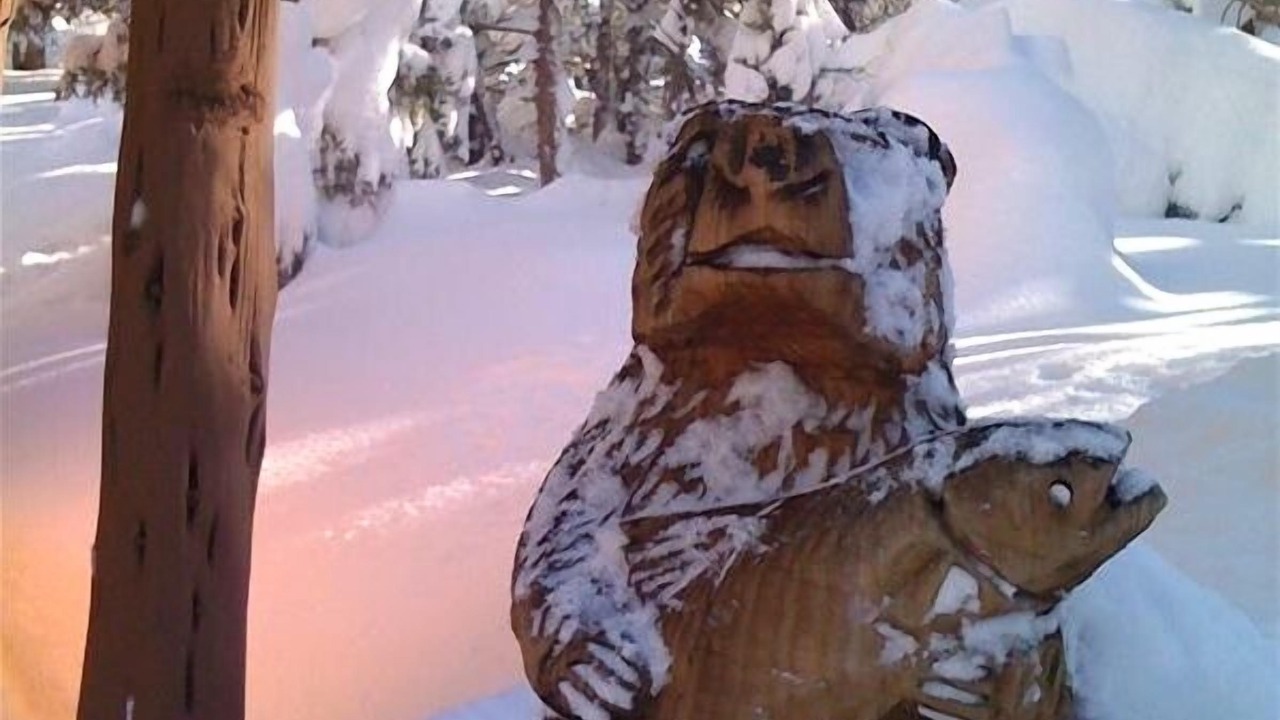 Photo of Others in Big Bear City
