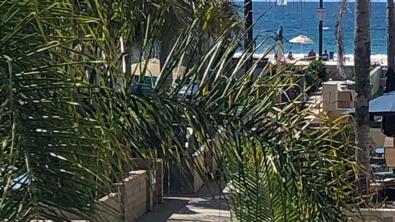 Photo of Others in South Mission Beach