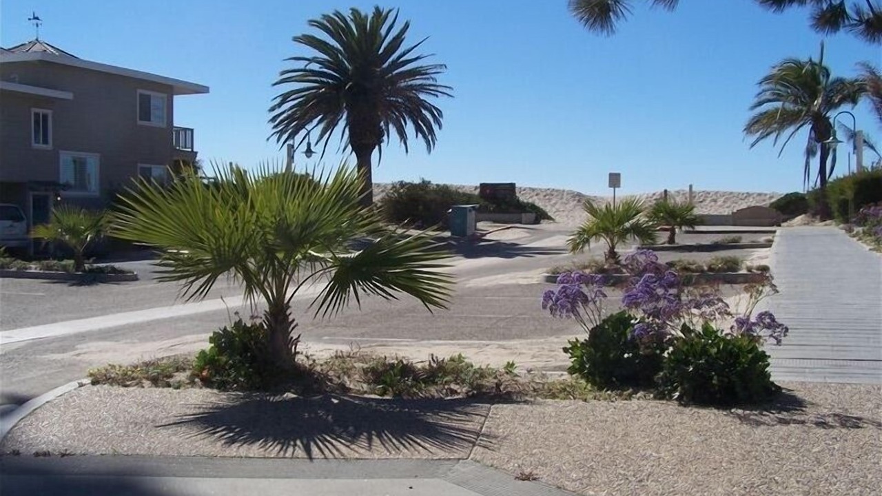 Photo of Others in Carpinteria