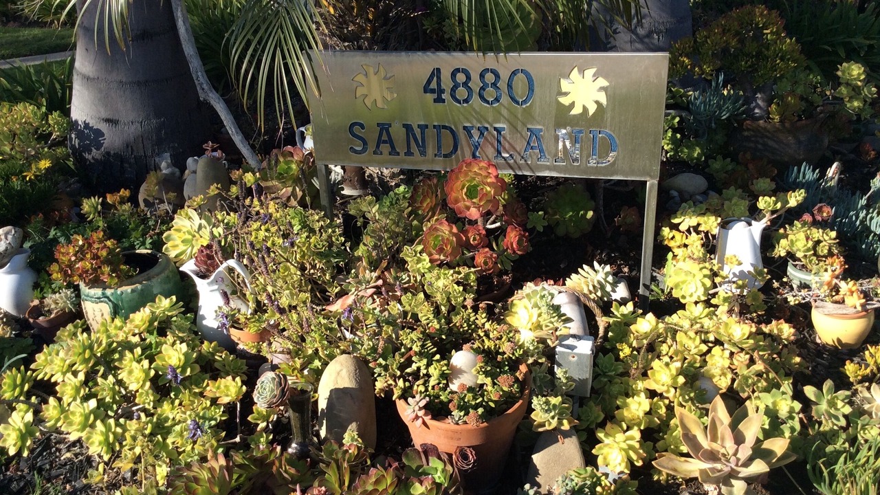 Photo of Outdoor in Carpinteria