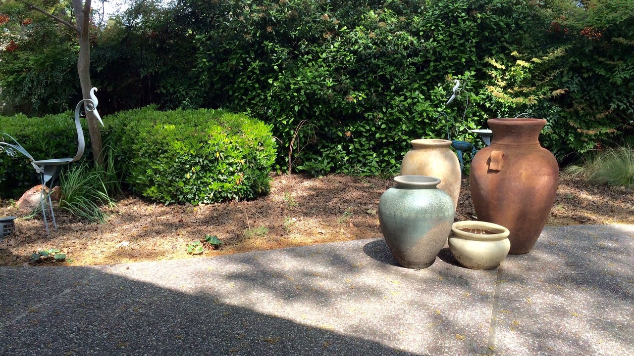 Photo of Outdoor in Woodland