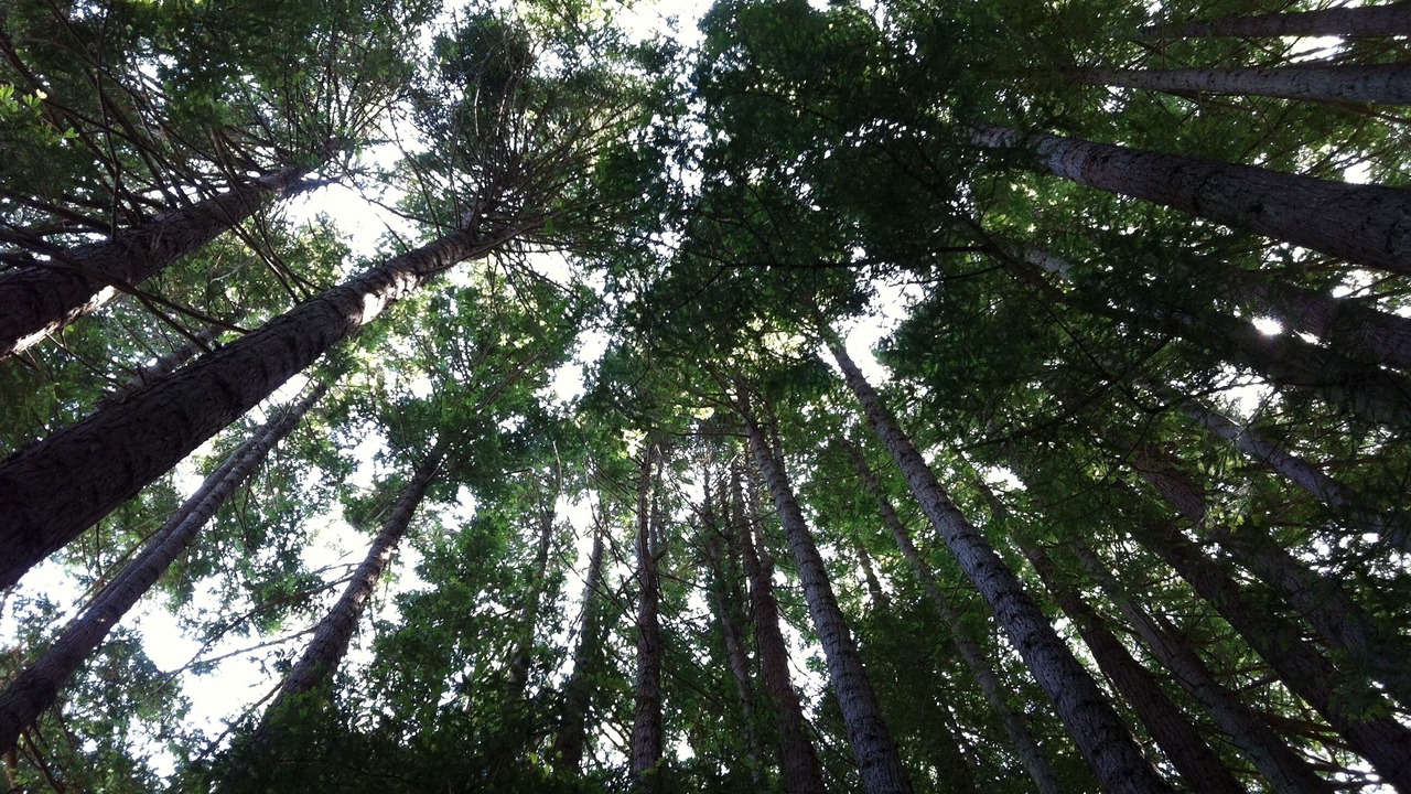 Photo of Outdoor in Cleone