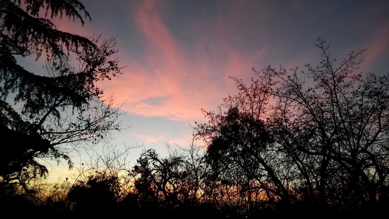 Photo of Outdoor in Cherry Valley