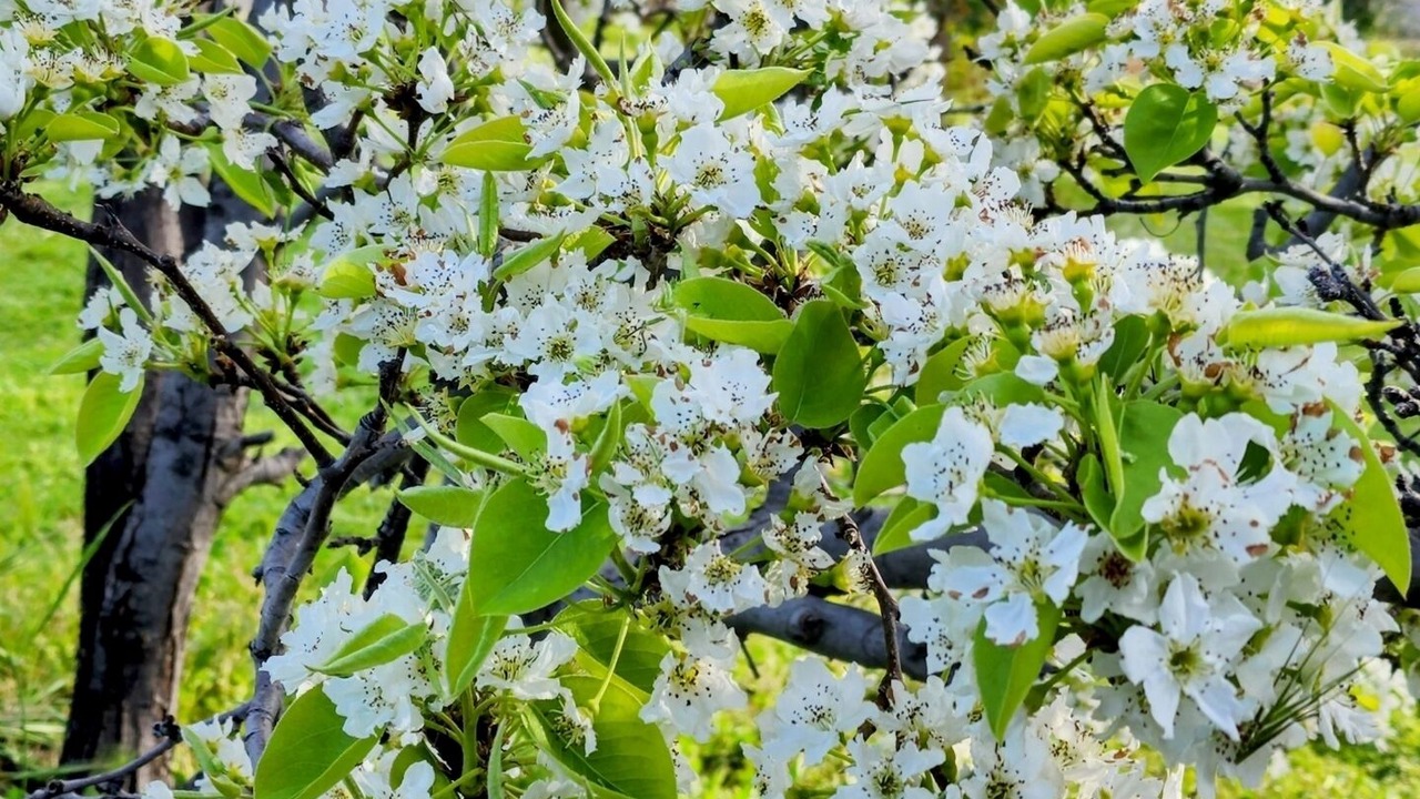 Photo of Outdoor in Cherry Valley
